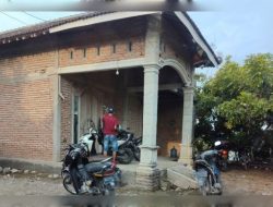 Skandal Perjudian Sabung Ayam di Ponorogo Tak Tersentuh Hukum