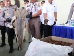 Kasus Penyeludupan Hasil Laut, Satwa Dilindungi, dan Penyalahgunaan Migas diungkap Polda Kepri
