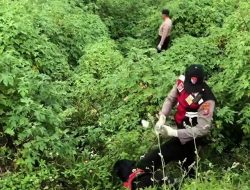 Korban Mutilasi dipacat Mojokerto Gegerkan Jagad Dunia Maya, Tubuhnya ditemukan jadi 65