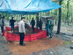 Markas Judi Sabung Ayam di Dusun Sendangrejo, Desa Banjardowo, Kecamatan/ Kabupaten Jombang ditindak tegas