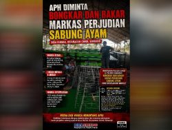 Mampukah Polsek Candi, Polres Sidoarjo Bongkar dan Bakar Arena Perjudian Sabung Ayam yang Megah?